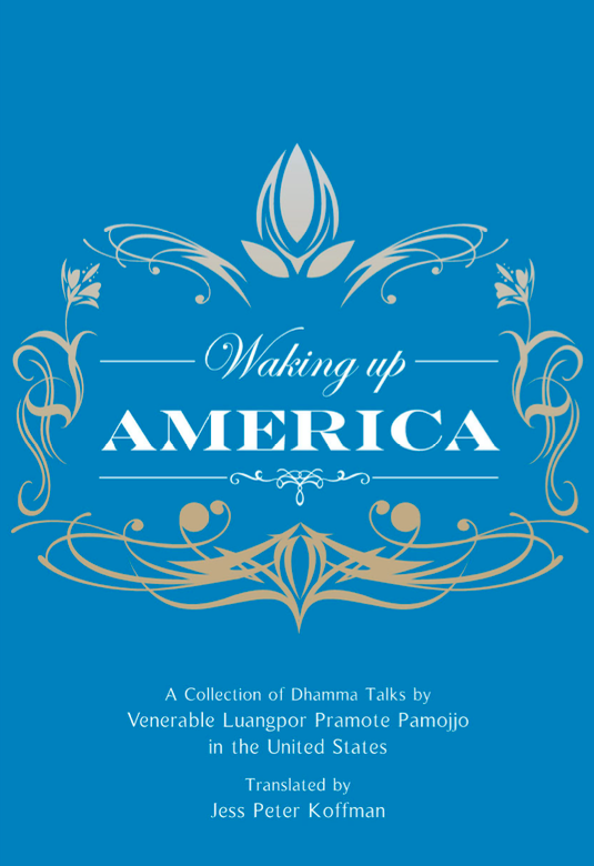 Waking Up America