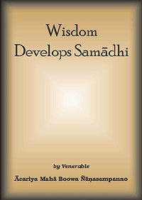 Wisdom Develops Samadhi
