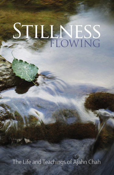 Stillness Flowing