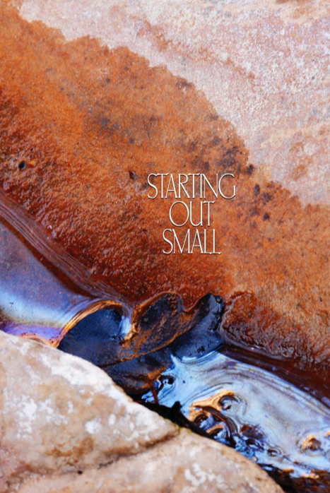 Starting Out Small